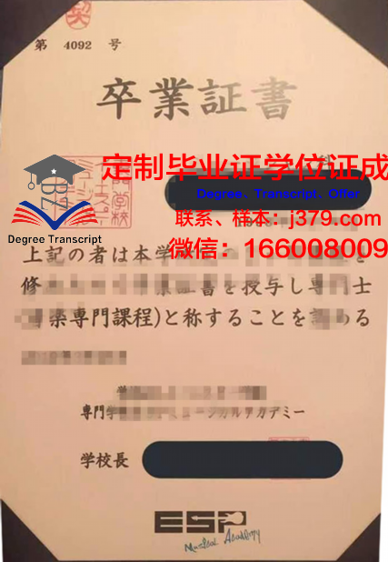 ICS艺术学院专门学校diploma证书(ics专业)