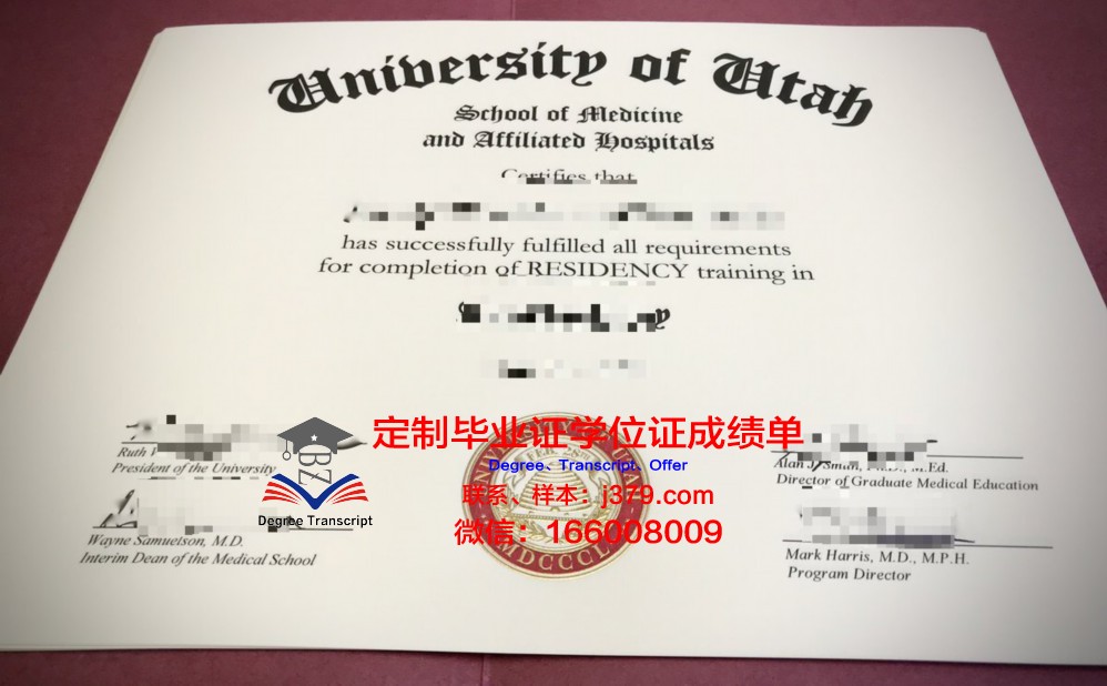 犹他州立大学毕业学位