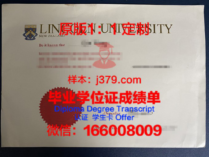 新西兰媒体设计学院毕业证Diploma文凭