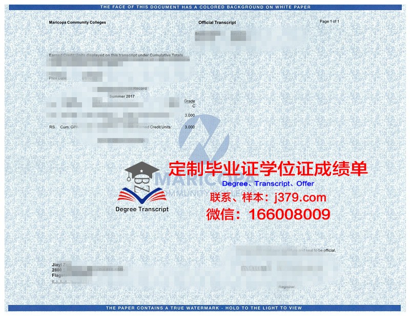 INN 大学学位成绩单定制：专业、精准、安全的选择