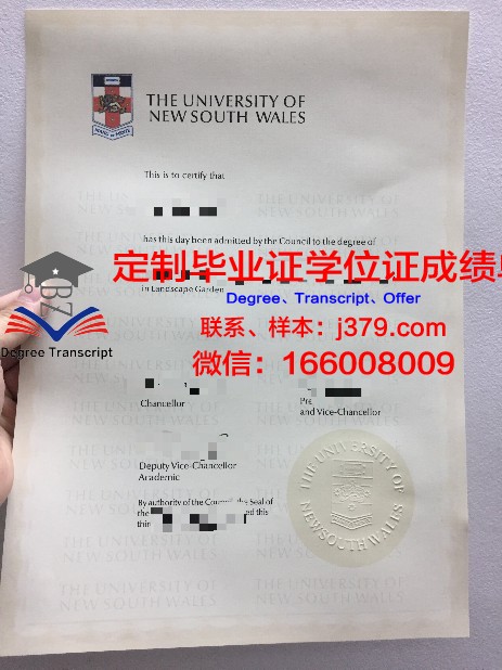 IBS学院硕士（研究生）毕业证 IBS College diploma