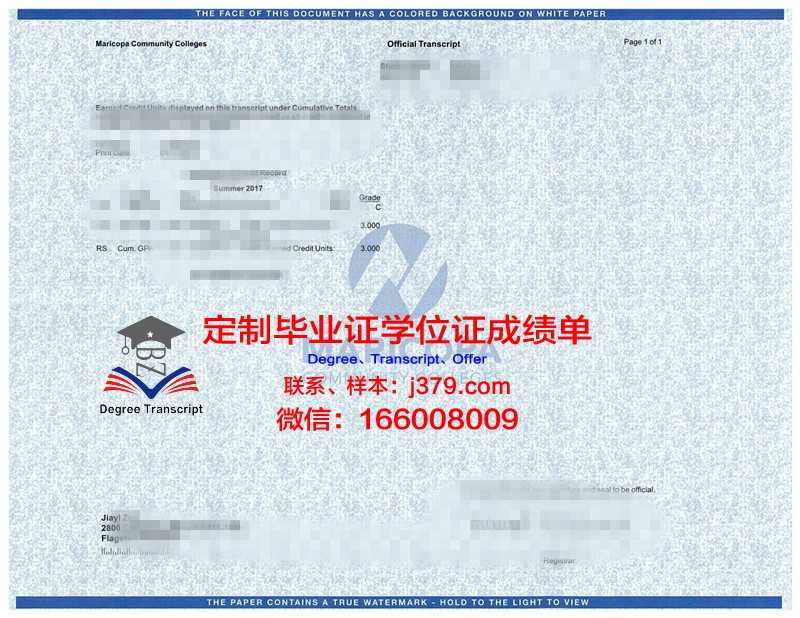 JDPU学位成绩单定制：打造个性化学术名片