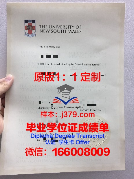 IE博士毕业证:开启工业工程领域的辉煌篇章