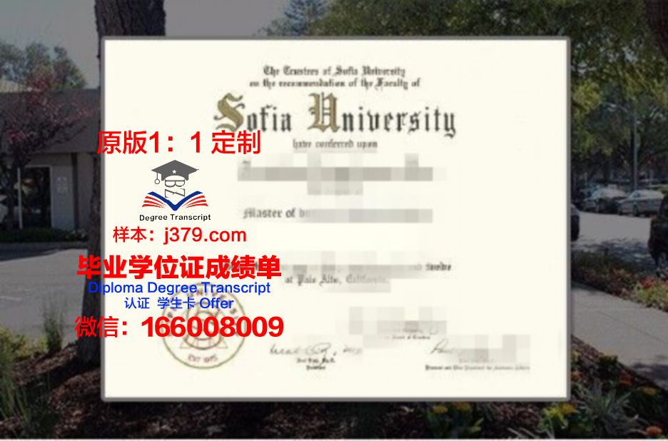 索菲亚赫美大学学院 diploma 毕业证