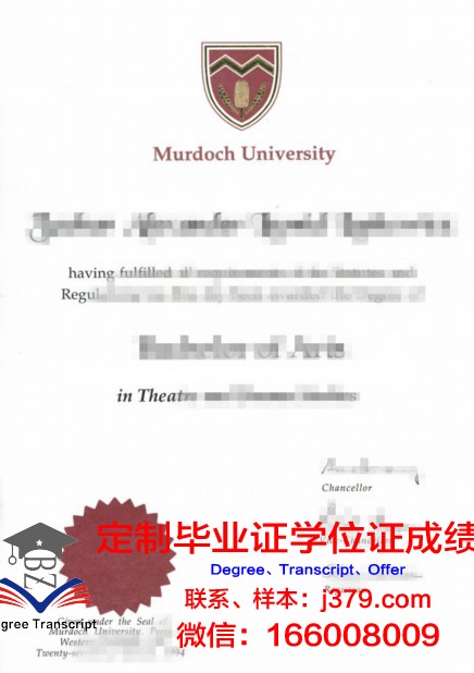 米科拉斯·罗梅里斯大学本科毕业证书:一张通往未来的通行证