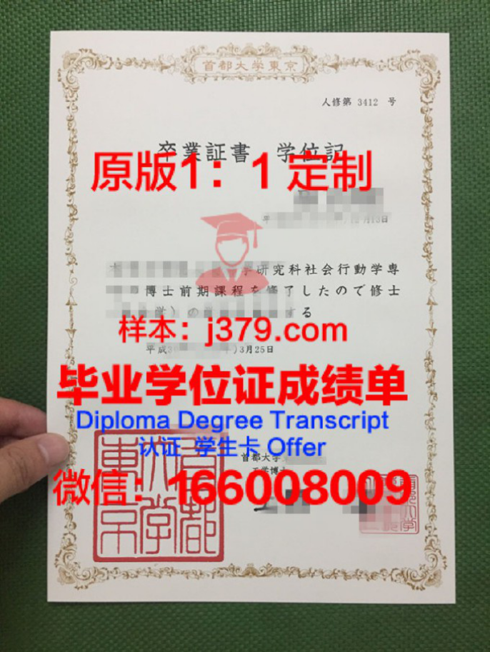 东京国际文化学院毕业证认证成绩单Diploma