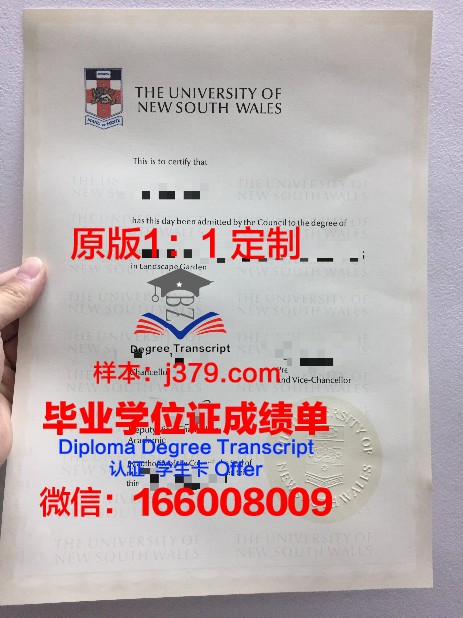 马拉达伦大学毕业证diploma