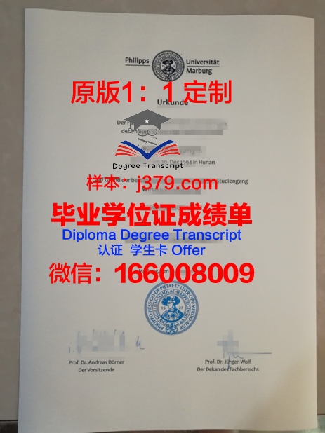 马尔堡大学硕士毕业证:一份跨越国界的学术荣耀