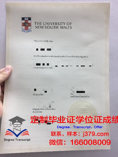 马斯特里赫特大学毕业证书图片(马斯特里赫特大学硕士)