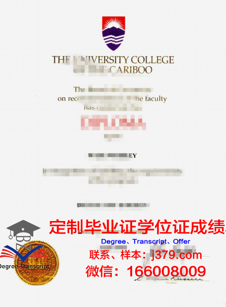 特里布万大学学历证书(特里布文大学亚洲排名)