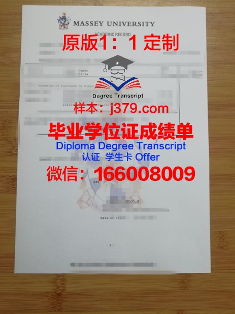 IITGn学位成绩单定制：打造专属你的学术名片