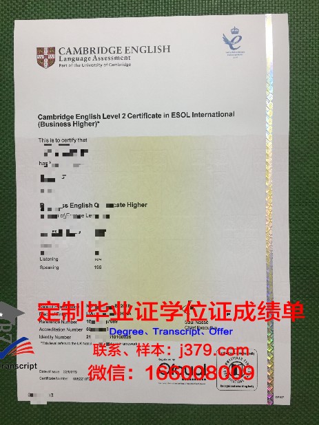 精英学院毕业证书模板(精英学院毕业证书模板图片)