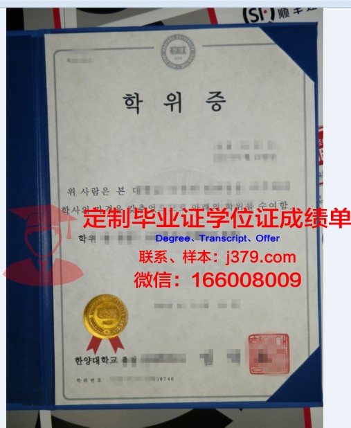 IlTech本科学位证:开启国际化教育新篇章