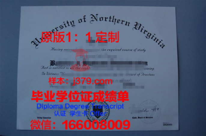 明尼亚波利斯艺术设计学院毕业证图片Minneapolis College of Art and Design Diploma