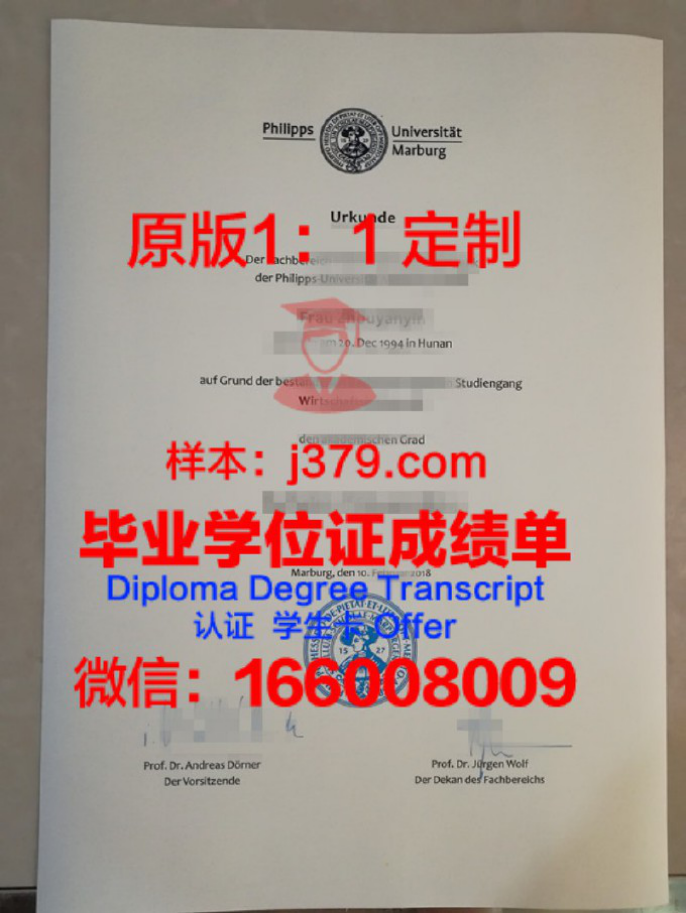 马尔堡大学毕业证图片Philipps-Universitat Marburg  Diploma