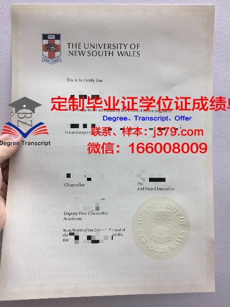 Higher School of Economics毕业证成绩单：一张通往未来的通行证