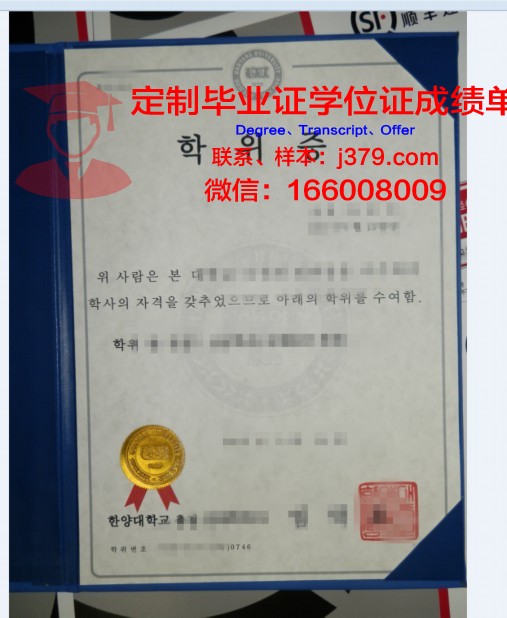 探秘MUniv硕士学位证:一份承载荣誉与梦想的证书