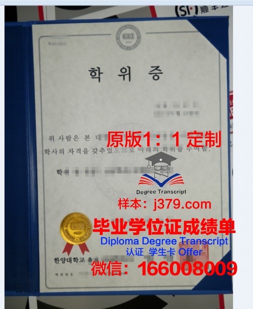 波兹南工业大学本科学位证:一份国际认可的学术荣誉