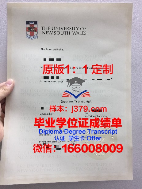 罗斯托夫国立建筑大学毕业证定制:传承与创新的艺术结晶