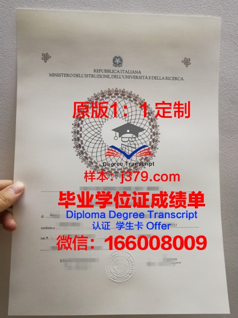 索尔特应用艺术与技术学院diploma证书(索尔特是什么意思)