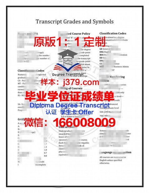 索尔特应用艺术与技术学院diploma证书(索尔特是什么意思)