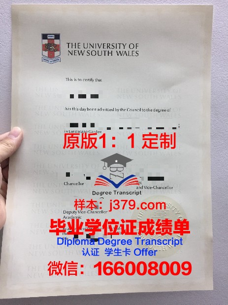 马斯特里赫特大学 diploma 毕业证