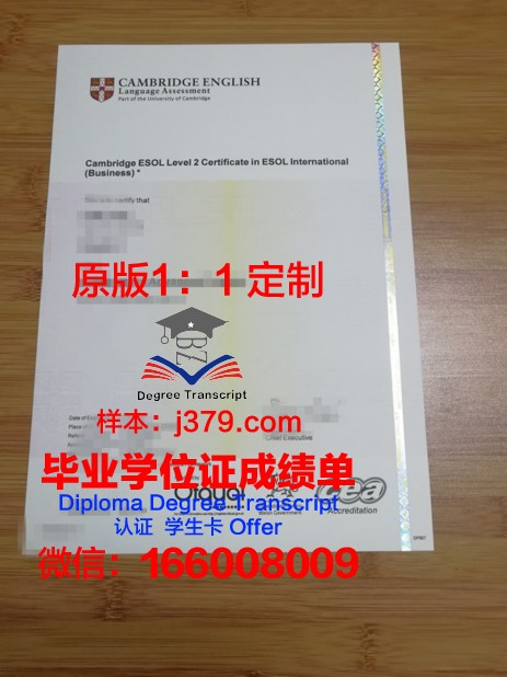 管理学综合学院毕业证书什么颜色(管理科学与工程毕业证书)