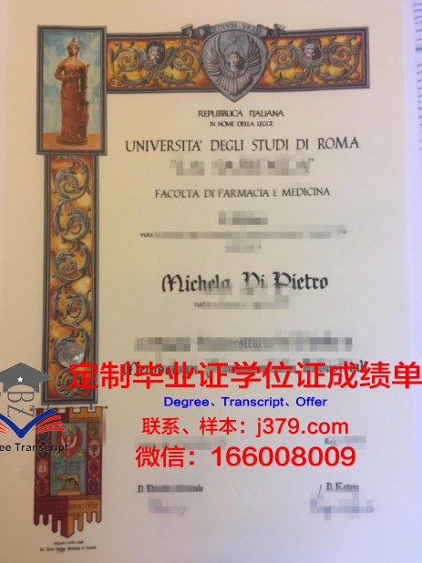 罗马国际学院 diploma 毕业证