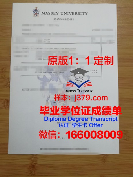 K工大成绩单:一份量化青春的印记