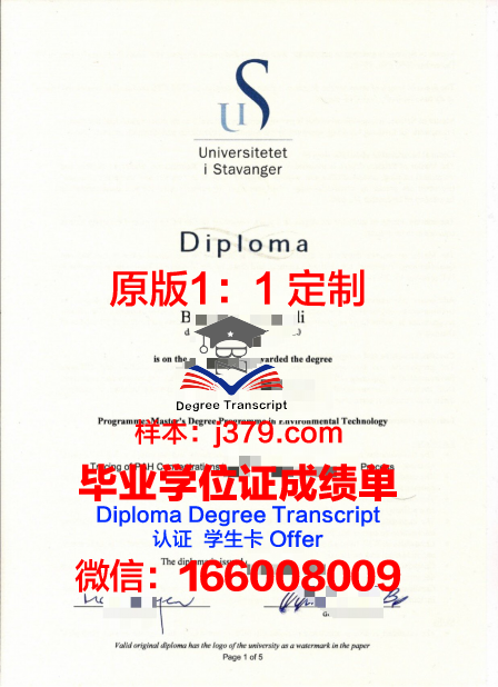 挪威内斯纳大学学院毕业证学位文凭学历Diploma