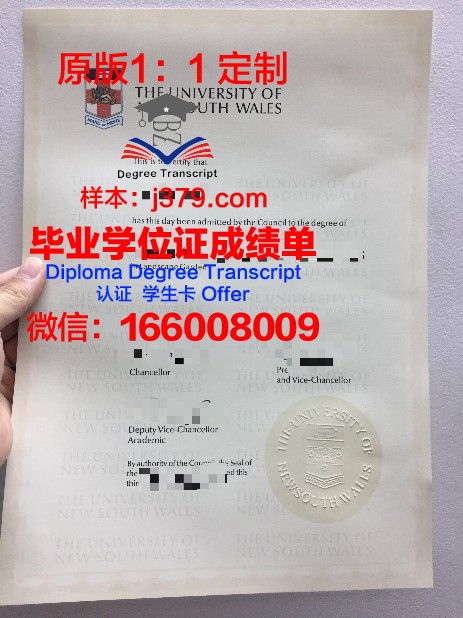 萨福克学院毕业证成绩单