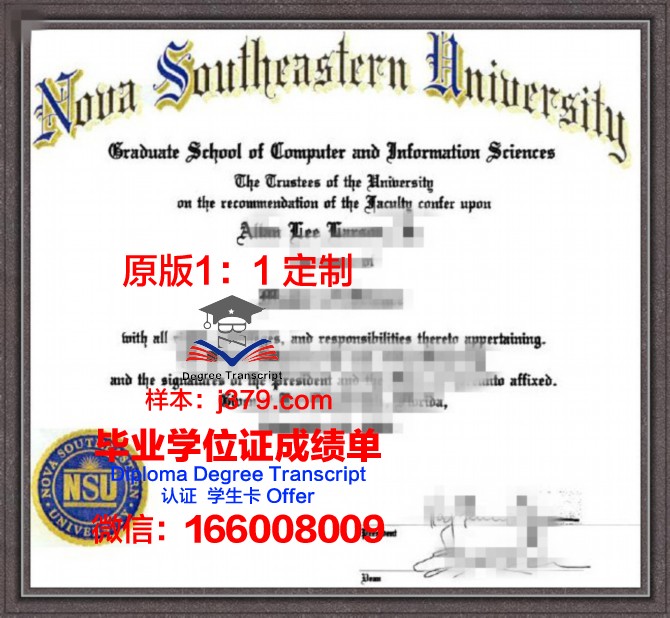 探秘东南大学软件学院毕业证图片:一份证书背后的故事