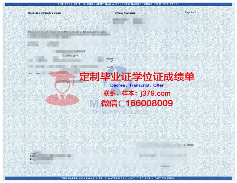 米比大成绩单：探索成绩背后的故事