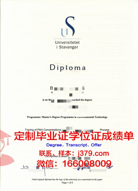 挪威内斯纳大学学院毕业证学位文凭学历Diploma