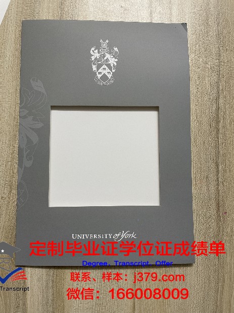 约克大学成绩单怎么下载(约克大学成绩单怎么下载的)