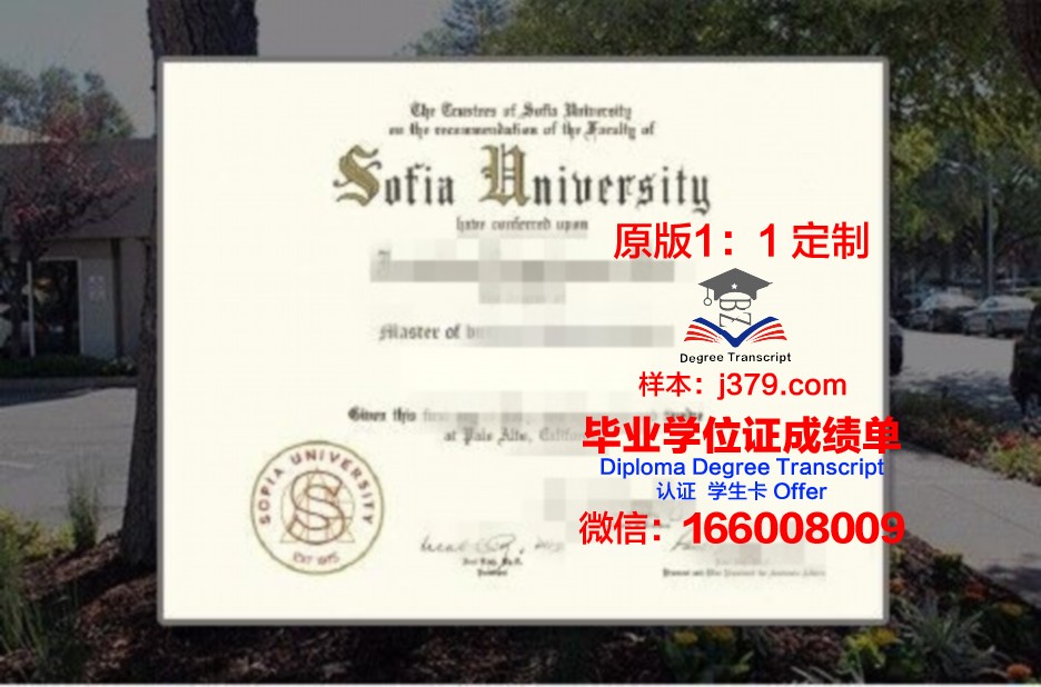 索菲亚大学校园卡(索菲亚综合理工学院)