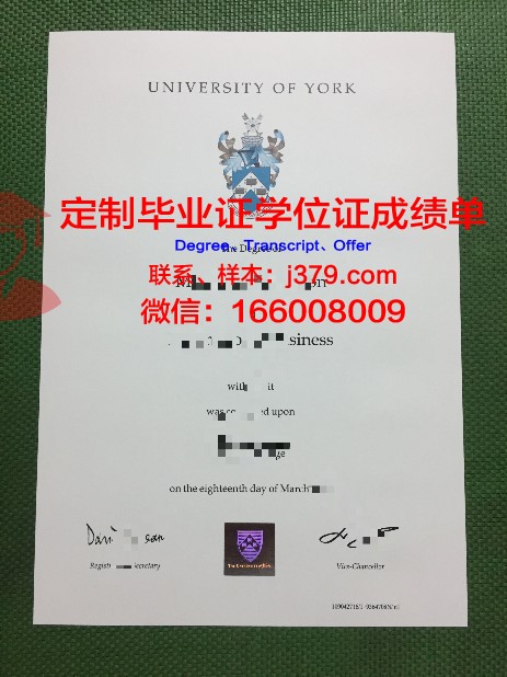 约克大学成绩单怎么下载(约克大学成绩单怎么下载的)