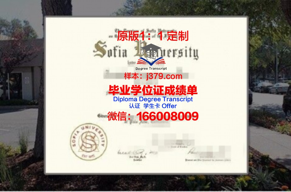 索菲亚大学毕业证外壳(索邦大学毕业证)