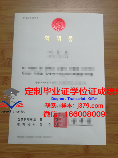 探寻拉曼大学硕士学位证的奥秘:一张图片背后的故事