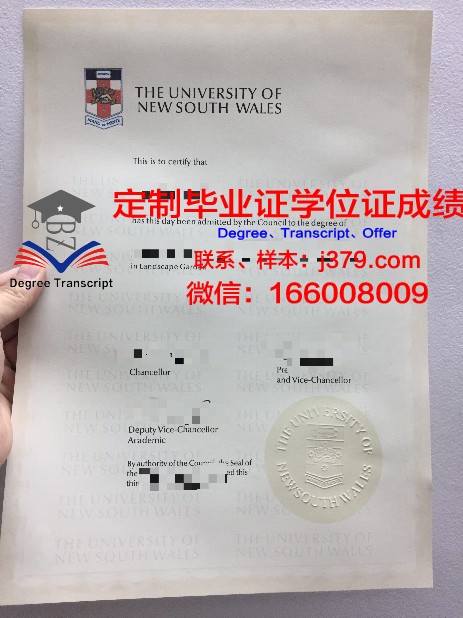 索德脱恩大学学院毕业证：一份荣誉与责任的象征