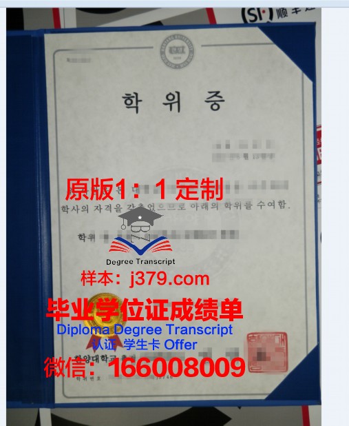 拉曼大学本科学位证:一张承载梦想与荣誉的证书