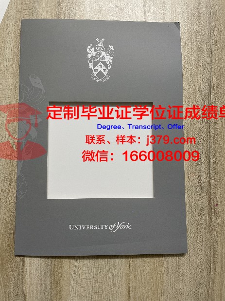 约克全球商务专门学校学生证(约克商学院世界排名)