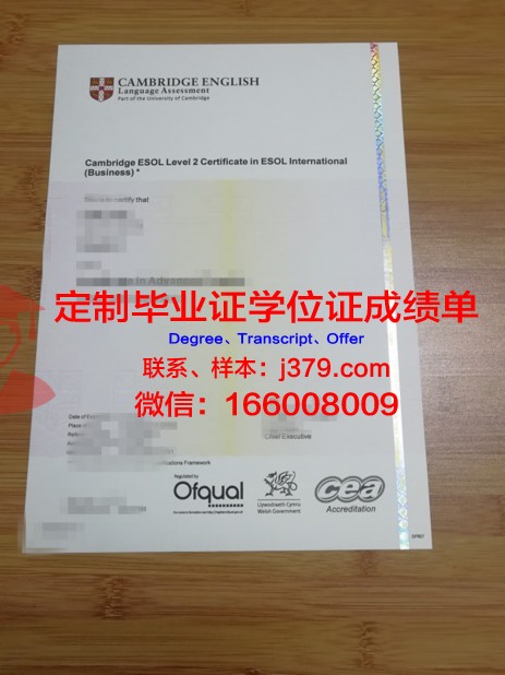 第戎大学材料研究高等工程师学院毕业证书图片