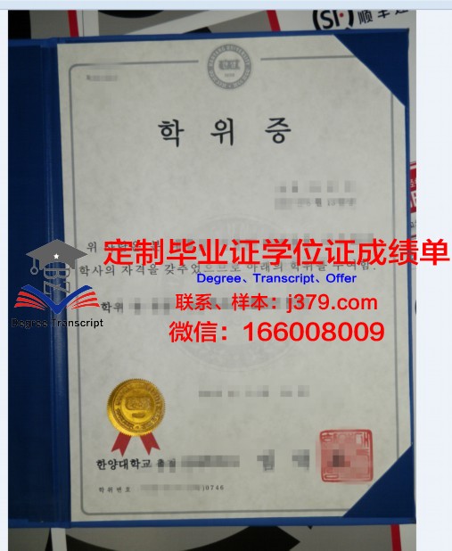 马大帕克学位证:学历焦虑下的现实反思