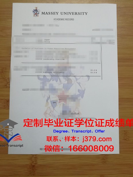 K大学位成绩单定制：质量与诚信的双重考量