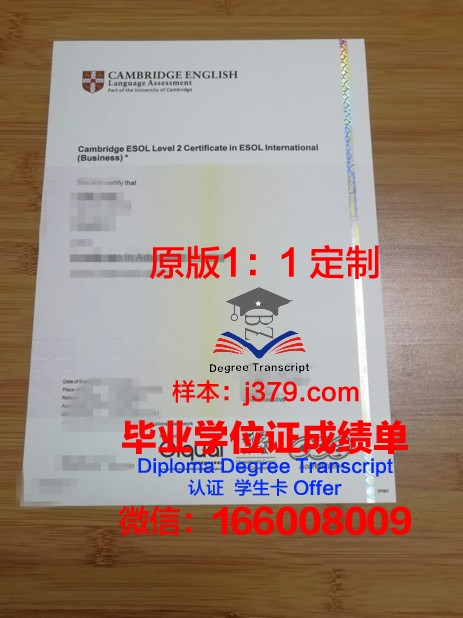 沙迦大学毕业证书什么颜色(沙迦大学毕业证书什么颜色可以用)