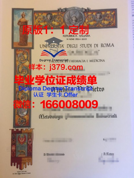罗马第一大学本科毕业证:跨越国界的学术荣耀