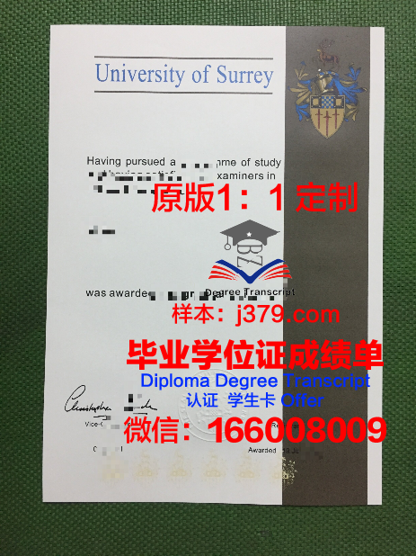 萨里大学学历证书(萨里大学官网中文网)