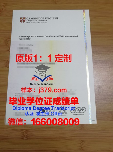 萨福克大学毕业证书图片：展现荣誉与成就的象征