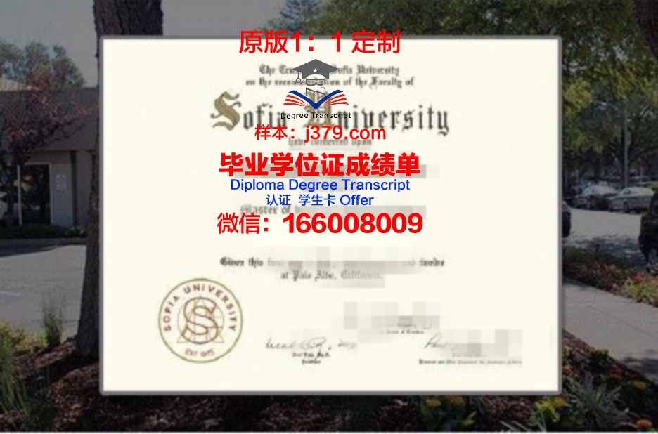 索菲亚大学毕业证书图片(索菲亚大学毕业证书图片高清)